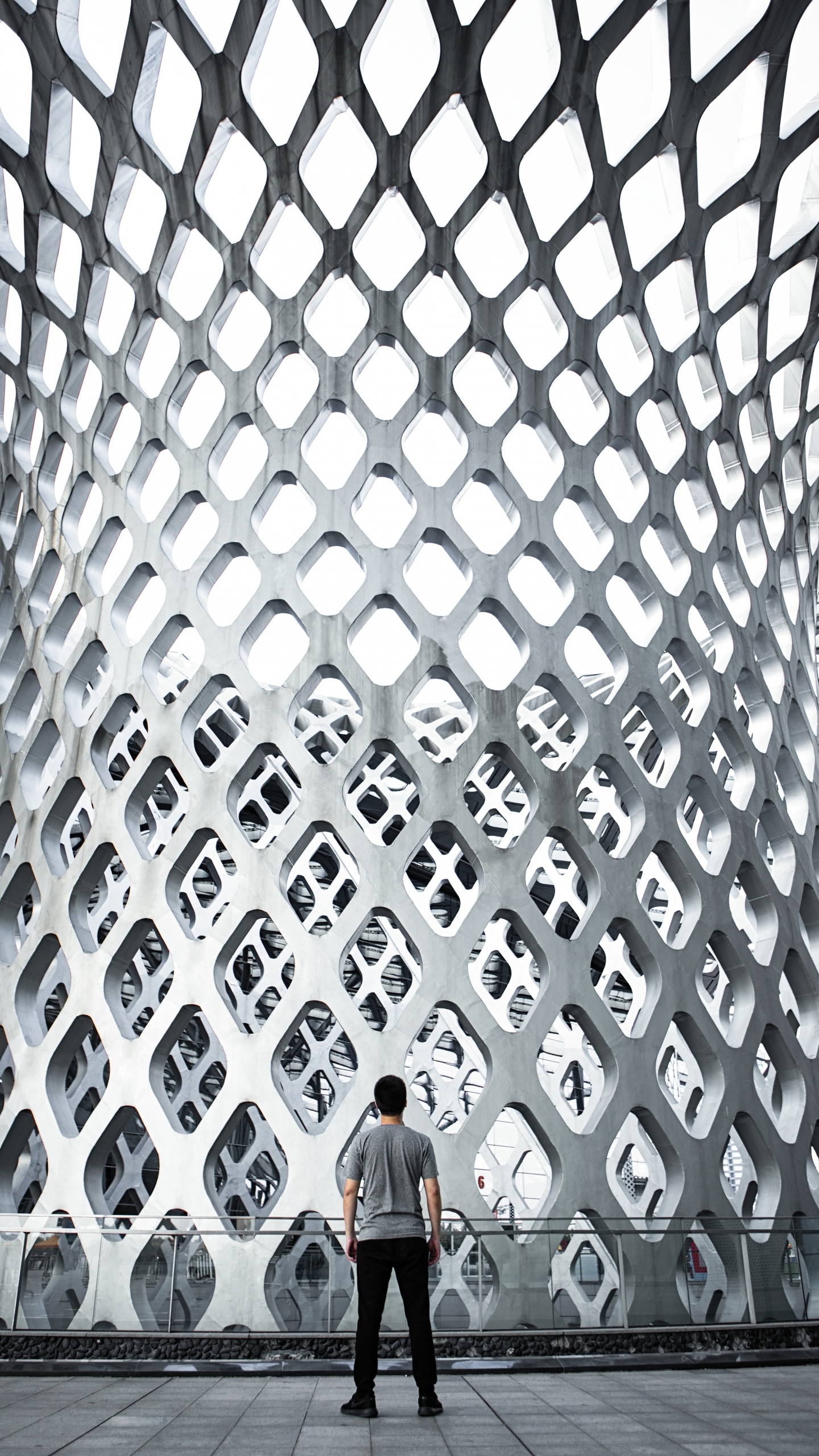 建筑, 天花板, 正面, 对称, 黑色和白色的 壁纸 1440x2560 允许