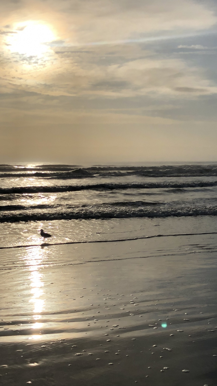 Meer, Wattenmeer, Flut, Strand, Gewässer. Wallpaper in 750x1334 Resolution