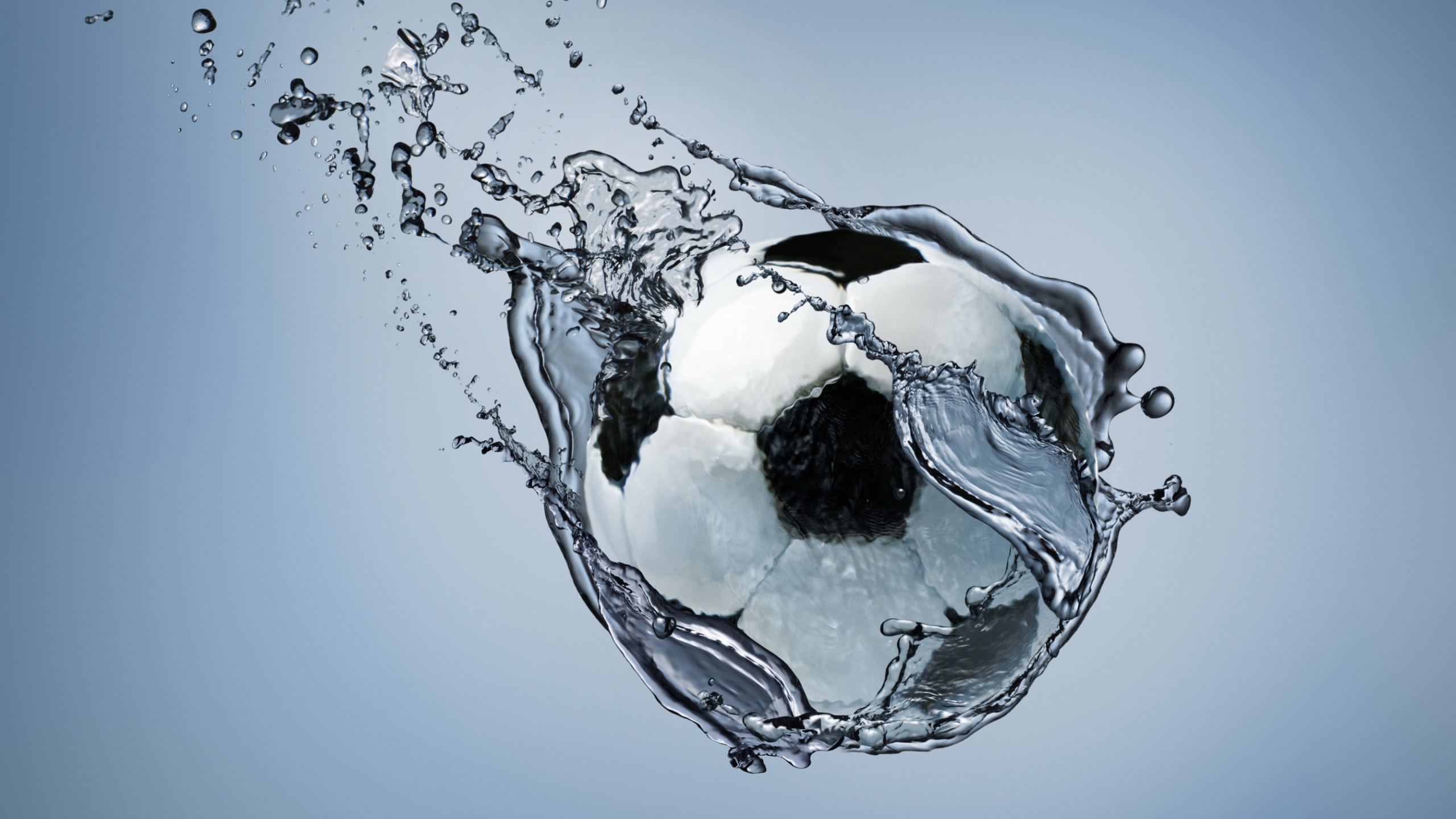 White and Black Ball on Water. Wallpaper in 2560x1440 Resolution