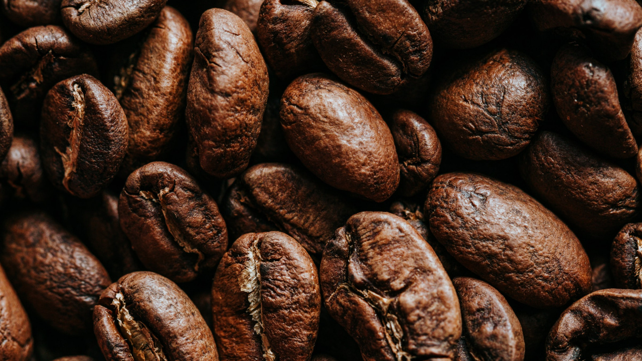 Fève de Cacao, le Café Jamaïcain Blue Mountain, Grain de Café, Caféine, Microsoft Surface. Wallpaper in 1280x720 Resolution