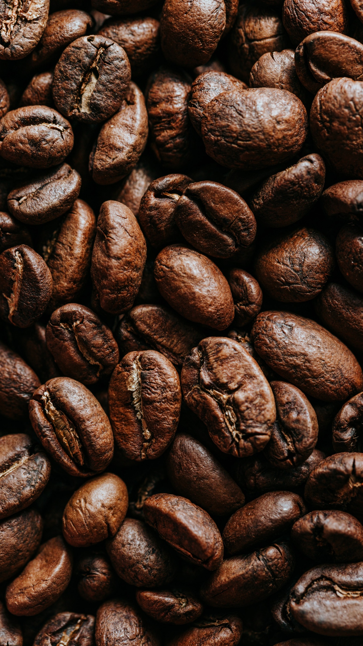 Fève de Cacao, le Café Jamaïcain Blue Mountain, Grain de Café, Caféine, Microsoft Surface. Wallpaper in 1440x2560 Resolution