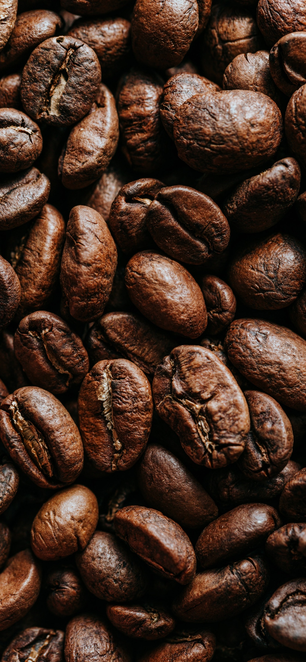 Kakaobohne, Kaffee, Jamaikanischer Blue-mountain-Kaffee, Kaffeebohne, Koffein. Wallpaper in 1242x2688 Resolution