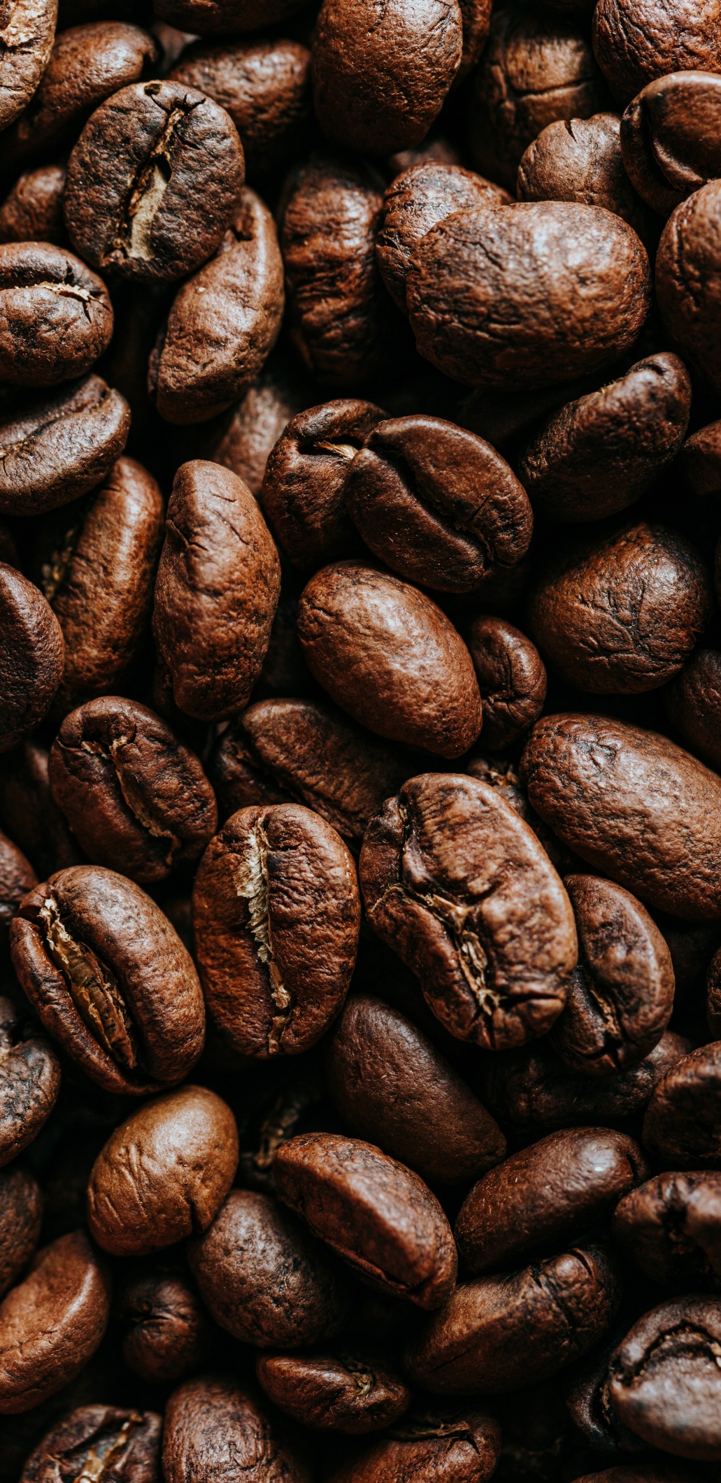 Kakaobohne, Kaffee, Jamaikanischer Blue-mountain-Kaffee, Kaffeebohne, Koffein. Wallpaper in 1440x2960 Resolution