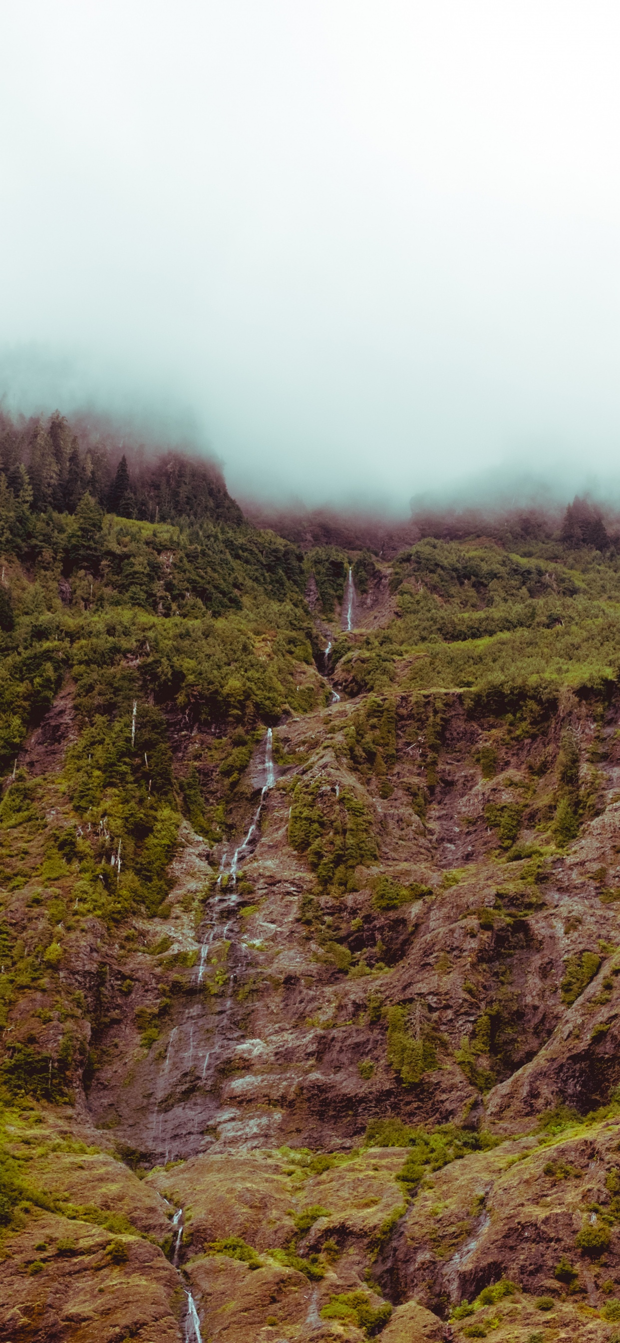 Vegetation, Highland, Nature, Wilderness, Nature Reserve. Wallpaper in 1242x2688 Resolution