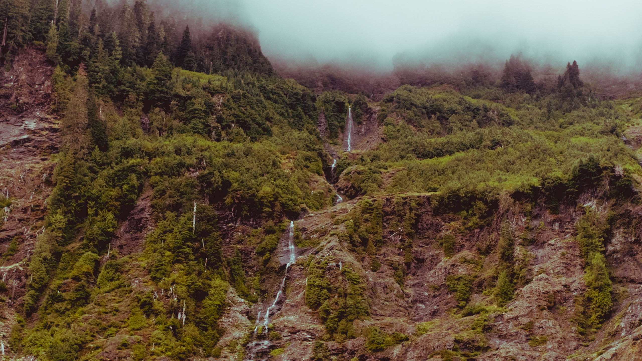 Vegetation, Highland, Nature, Wilderness, Nature Reserve. Wallpaper in 2560x1440 Resolution