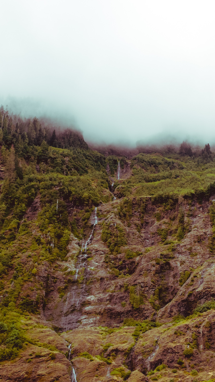 Vegetation, Hochland, Natur, Wildnis, Naturschutzgebiet. Wallpaper in 750x1334 Resolution