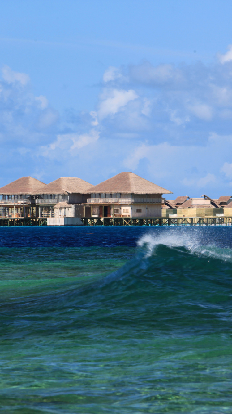 Bâtiment en Béton Blanc et Marron Près D'un Plan D'eau Pendant la Journée. Wallpaper in 750x1334 Resolution