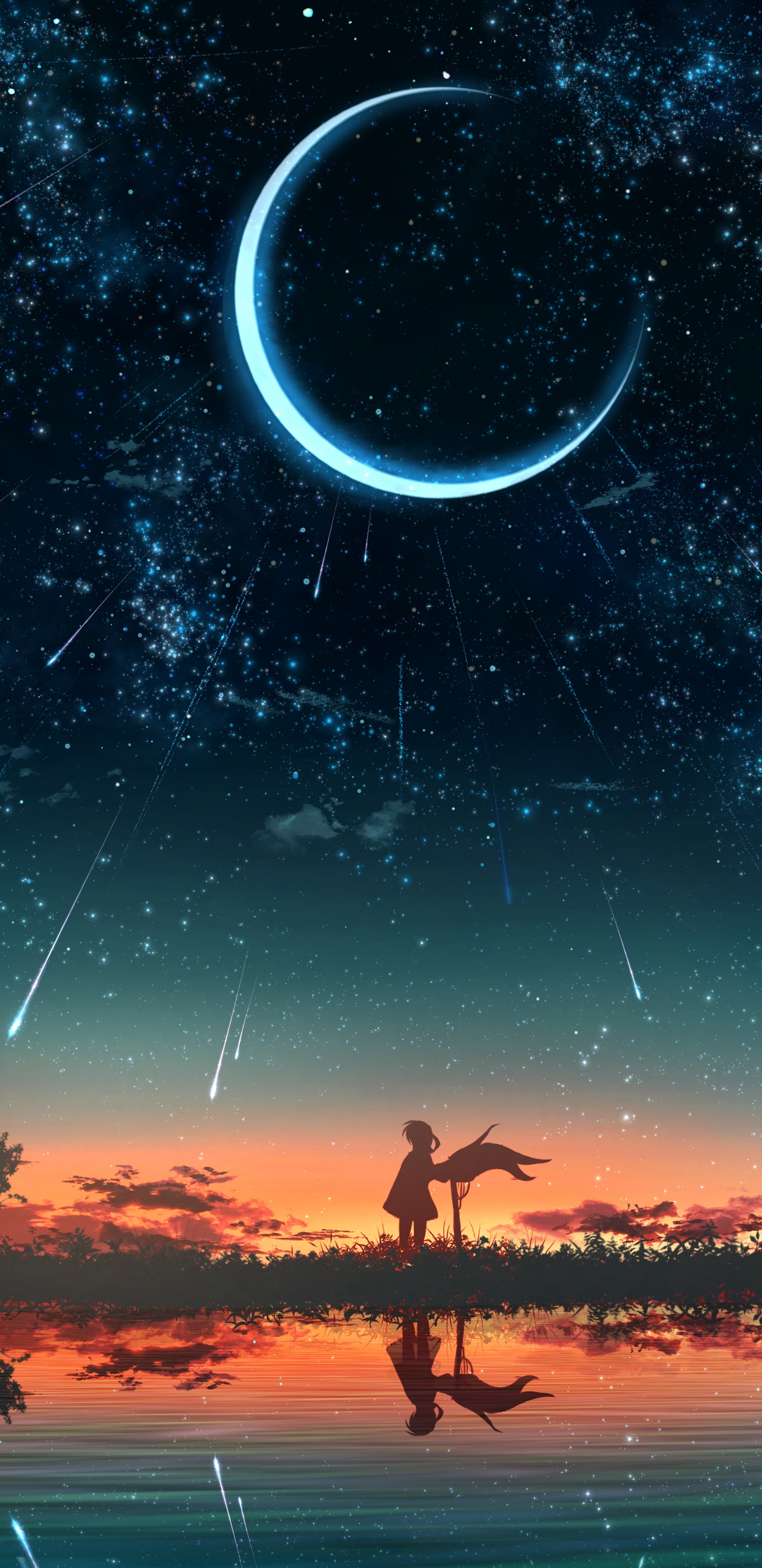 气氛, 光, 性质, 自然环境, 自然景观 壁纸 1440x2960 允许