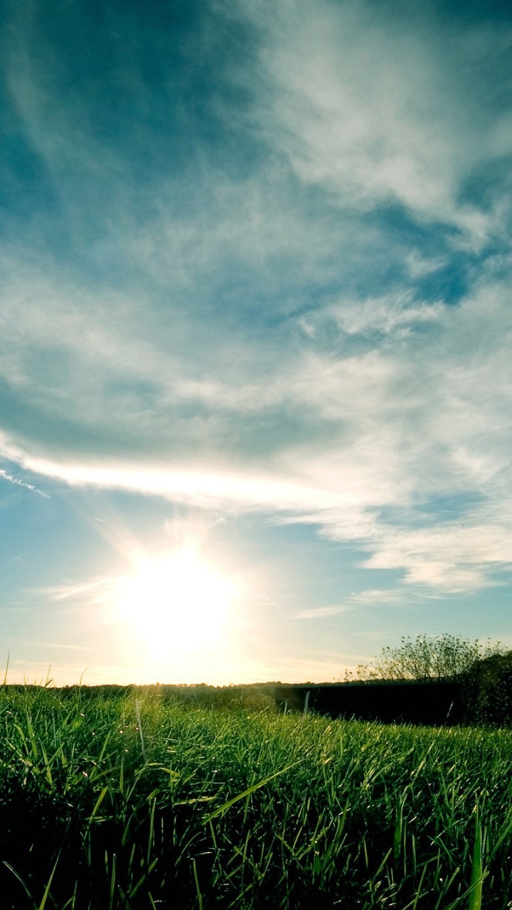 Green Grass Field Under Blue Sky During Daytime. Wallpaper in 720x1280 Resolution