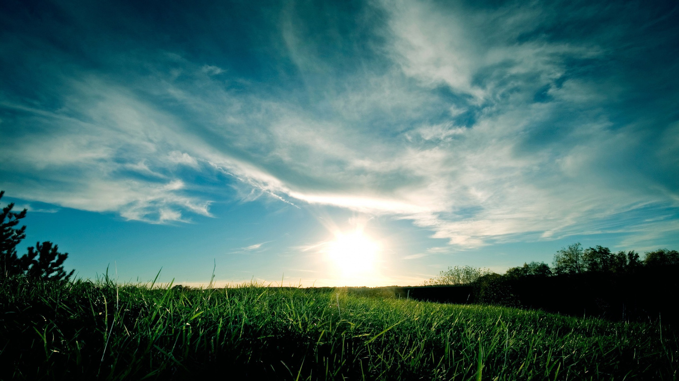 Tagsüber Grüne Wiese Unter Blauem Himmel. Wallpaper in 1366x768 Resolution