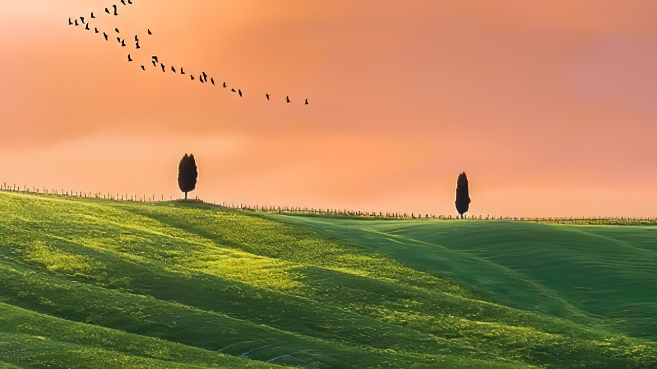 Grünland, Cloud, Atmosphäre, Vogel, Ökoregion. Wallpaper in 1280x720 Resolution