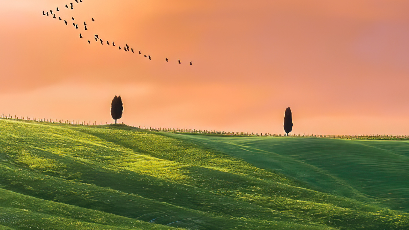 Grünland, Cloud, Atmosphäre, Vogel, Ökoregion. Wallpaper in 1366x768 Resolution