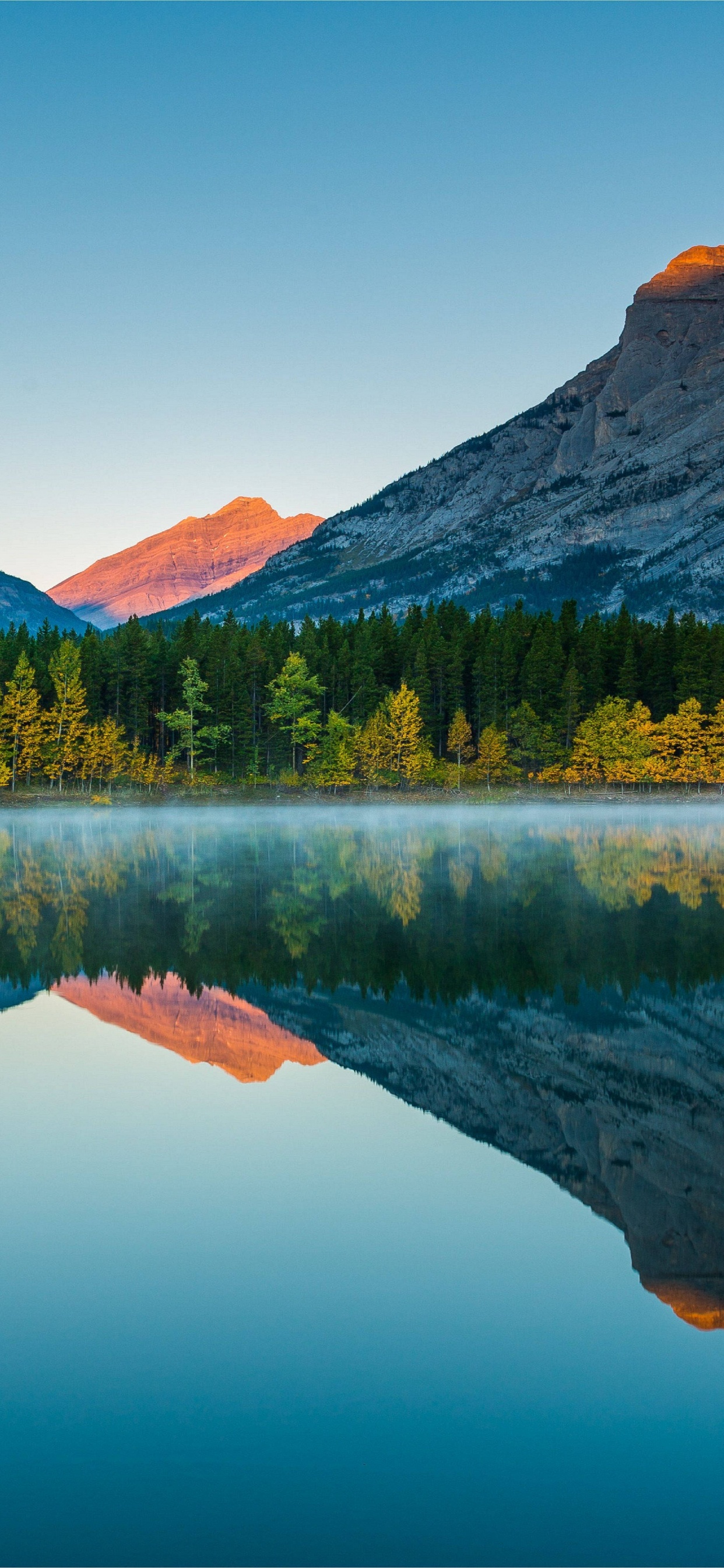 8k Natur, Natur, Tablet, Wasser, Wasserressourcen. Wallpaper in 1242x2688 Resolution