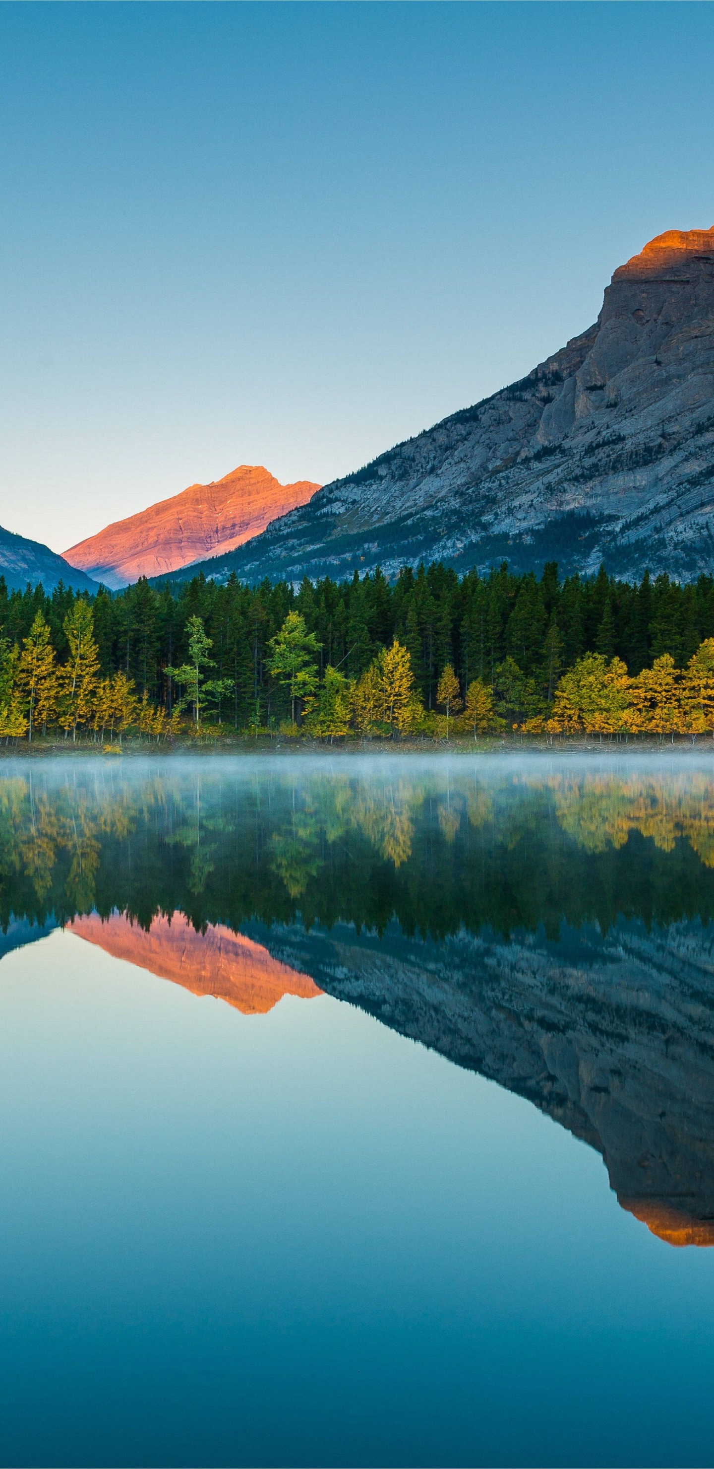 Naturaleza 8k, Naturaleza, Tablet, Agua, Los Recursos de Agua. Wallpaper in 1440x2960 Resolution