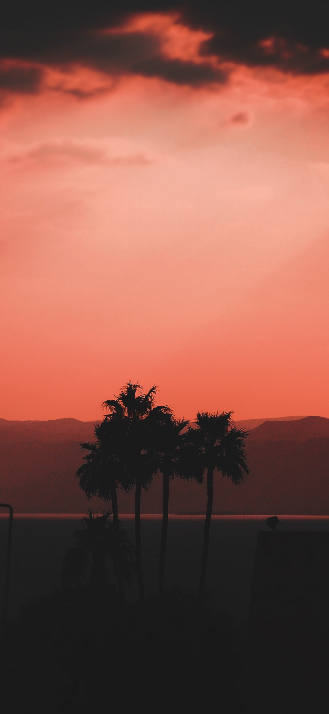 Afterglow, Horizont, Sonnenuntergang, Orange, Baum. Wallpaper in 1125x2436 Resolution