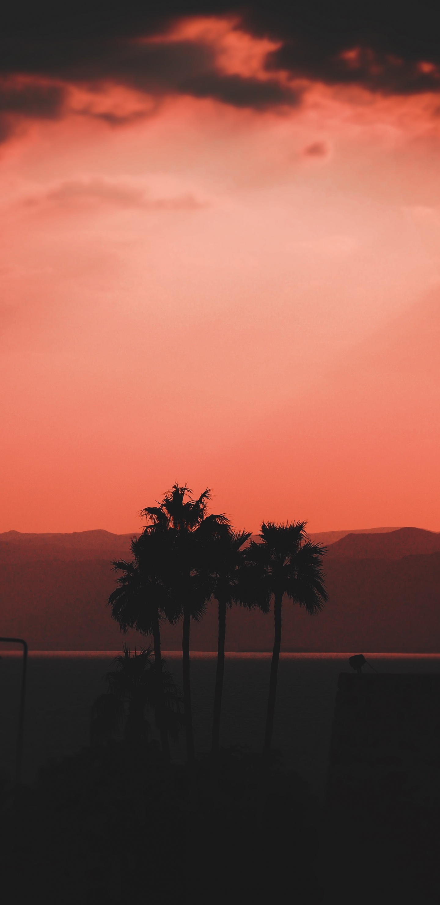 Afterglow, Horizont, Sonnenuntergang, Orange, Baum. Wallpaper in 1440x2960 Resolution