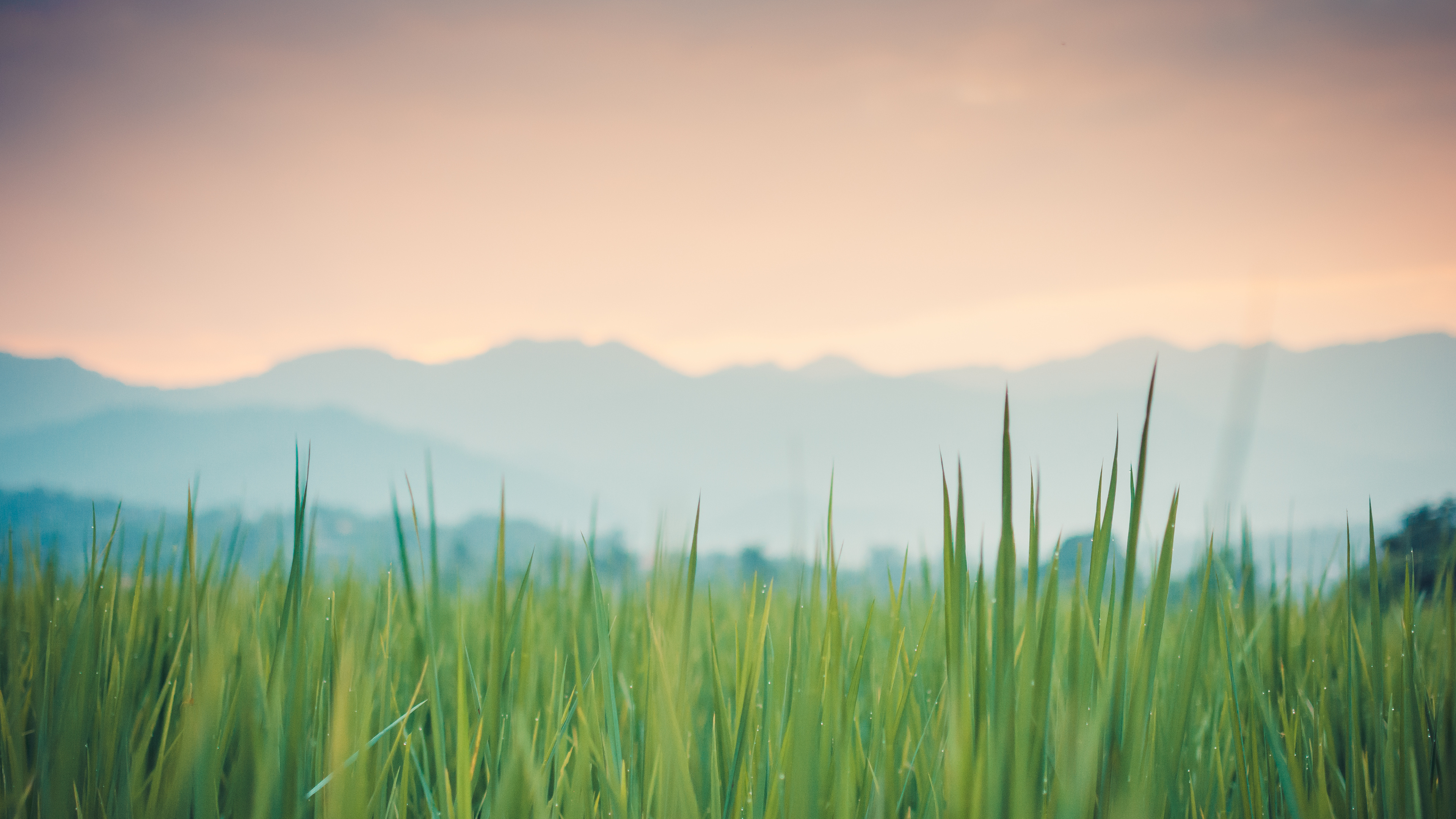 Color, Atmosphère, Green, Paysage Naturel, Les Gens Dans la Nature. Wallpaper in 3840x2160 Resolution