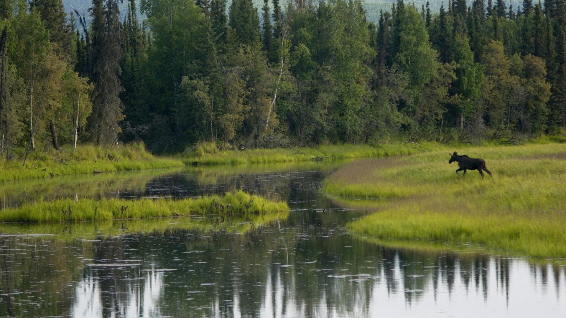Tagsüber Grüne Wiese in Der Nähe Des Sees. Wallpaper in 1920x1080 Resolution