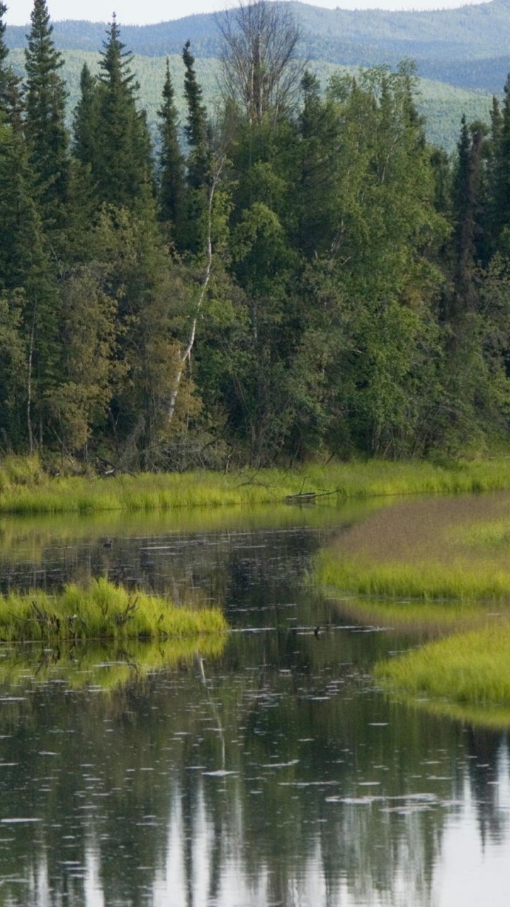 Tagsüber Grüne Wiese in Der Nähe Des Sees. Wallpaper in 720x1280 Resolution