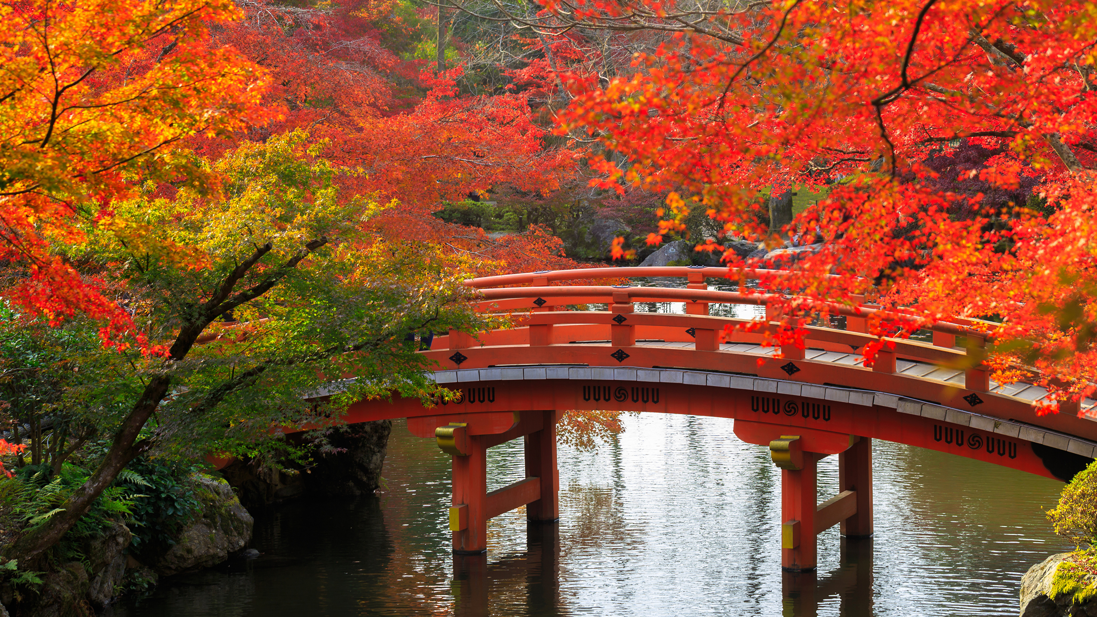 日本, 季节, 性质, 反射, 自然景观 壁纸 3840x2160 允许