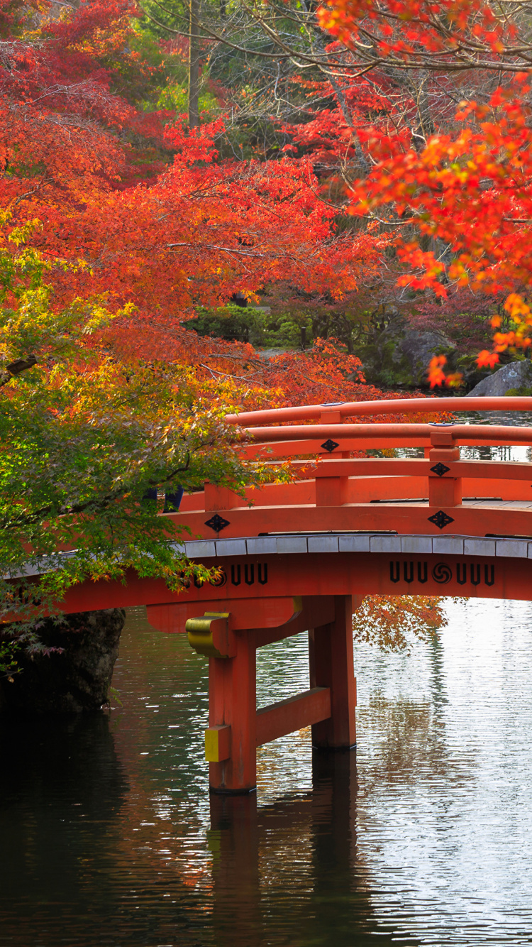 Red Bridge Over River During Daytime. Wallpaper in 750x1334 Resolution