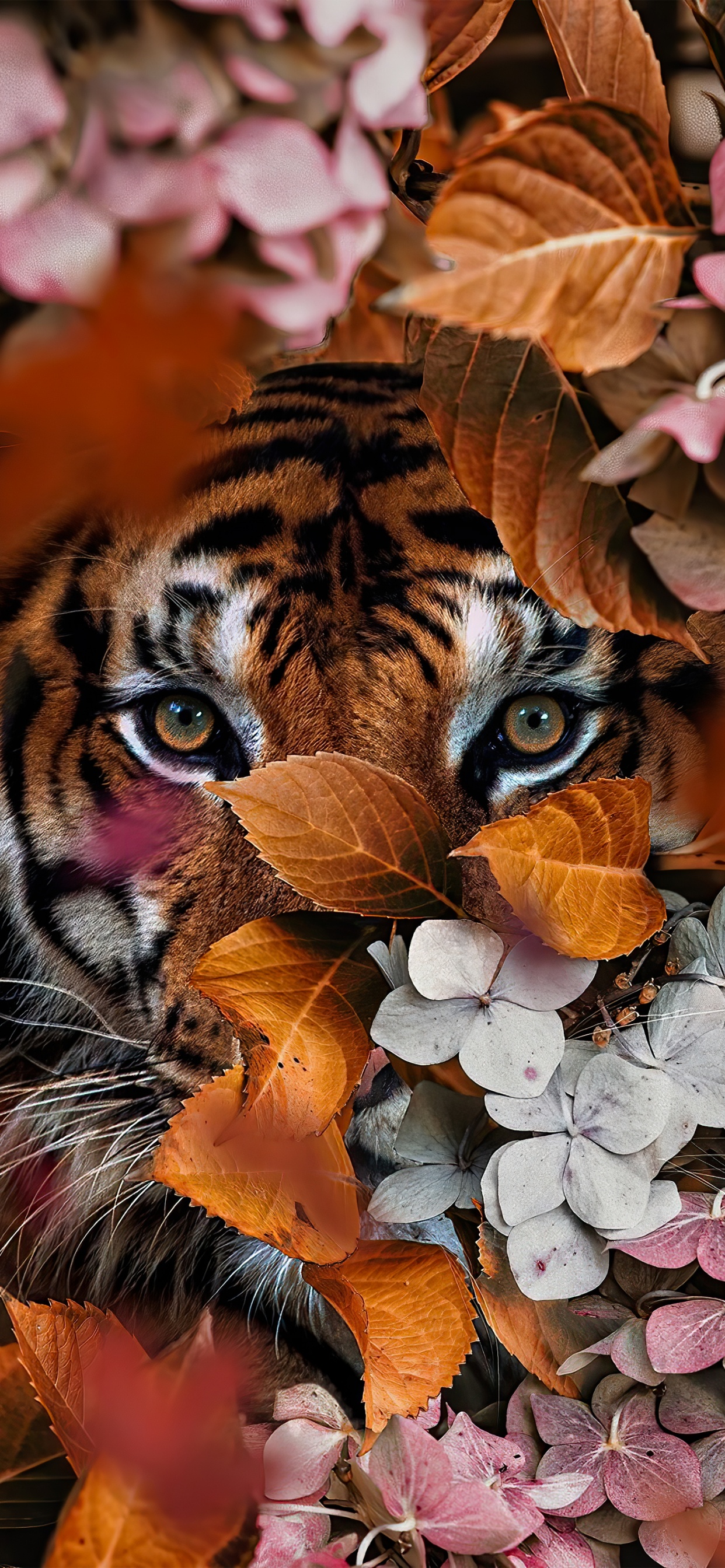 Tigre Con Flores, Tigre de Bengala, Leones, Felidae, Tigón. Wallpaper in 1242x2688 Resolution
