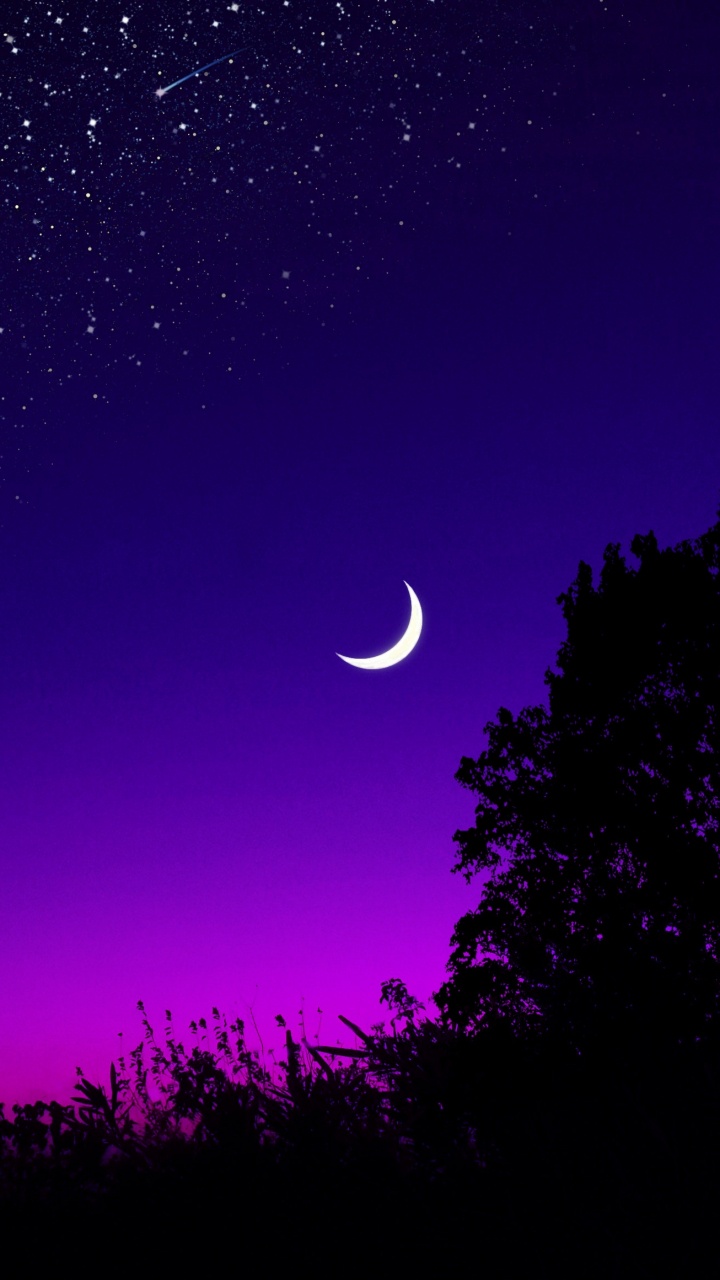 Mond, Crescent, Nacht, Purpur, Licht. Wallpaper in 720x1280 Resolution