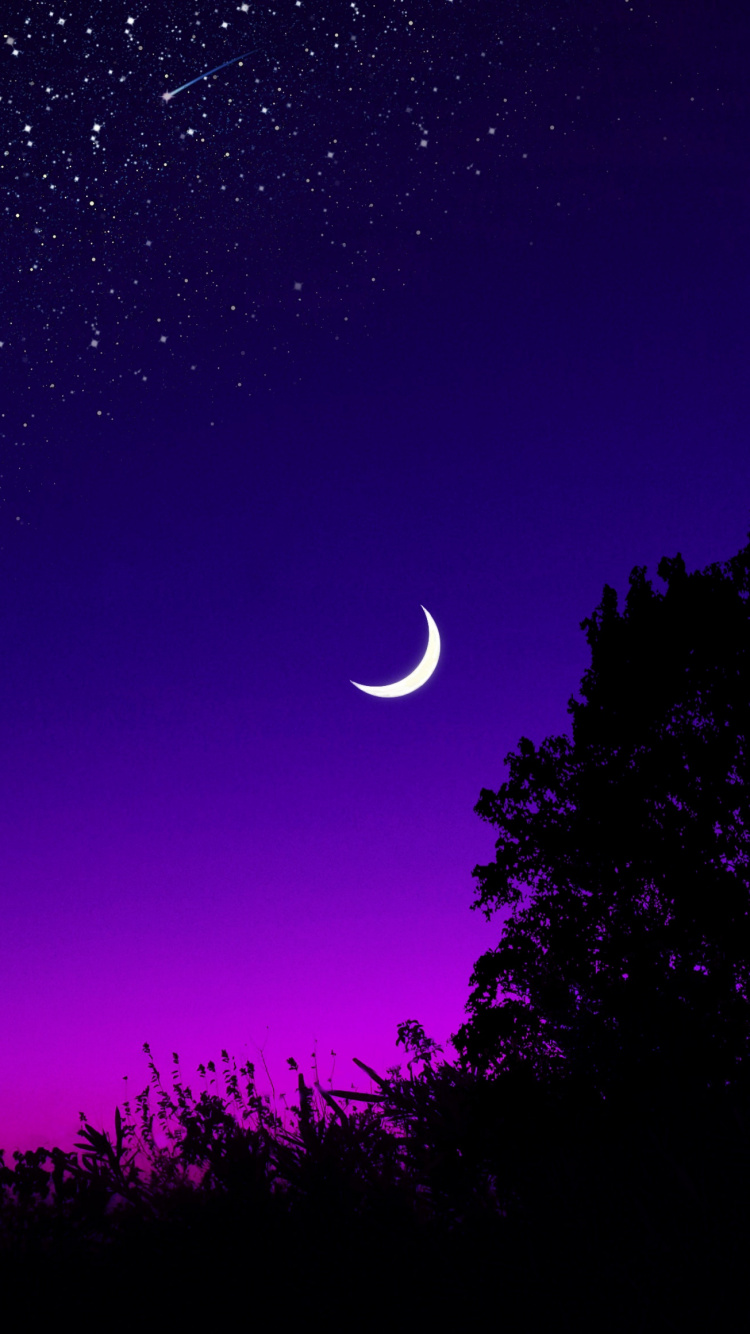 Mond, Crescent, Nacht, Purpur, Licht. Wallpaper in 750x1334 Resolution