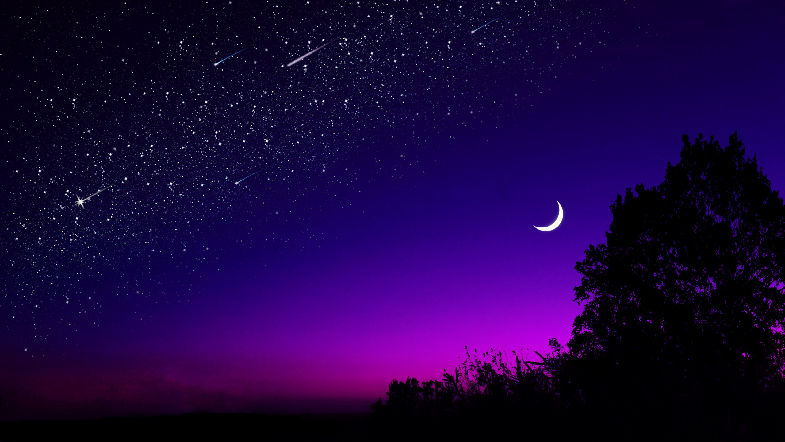 Moon, Crescent, Night, Purple, Light. Wallpaper in 2560x1440 Resolution