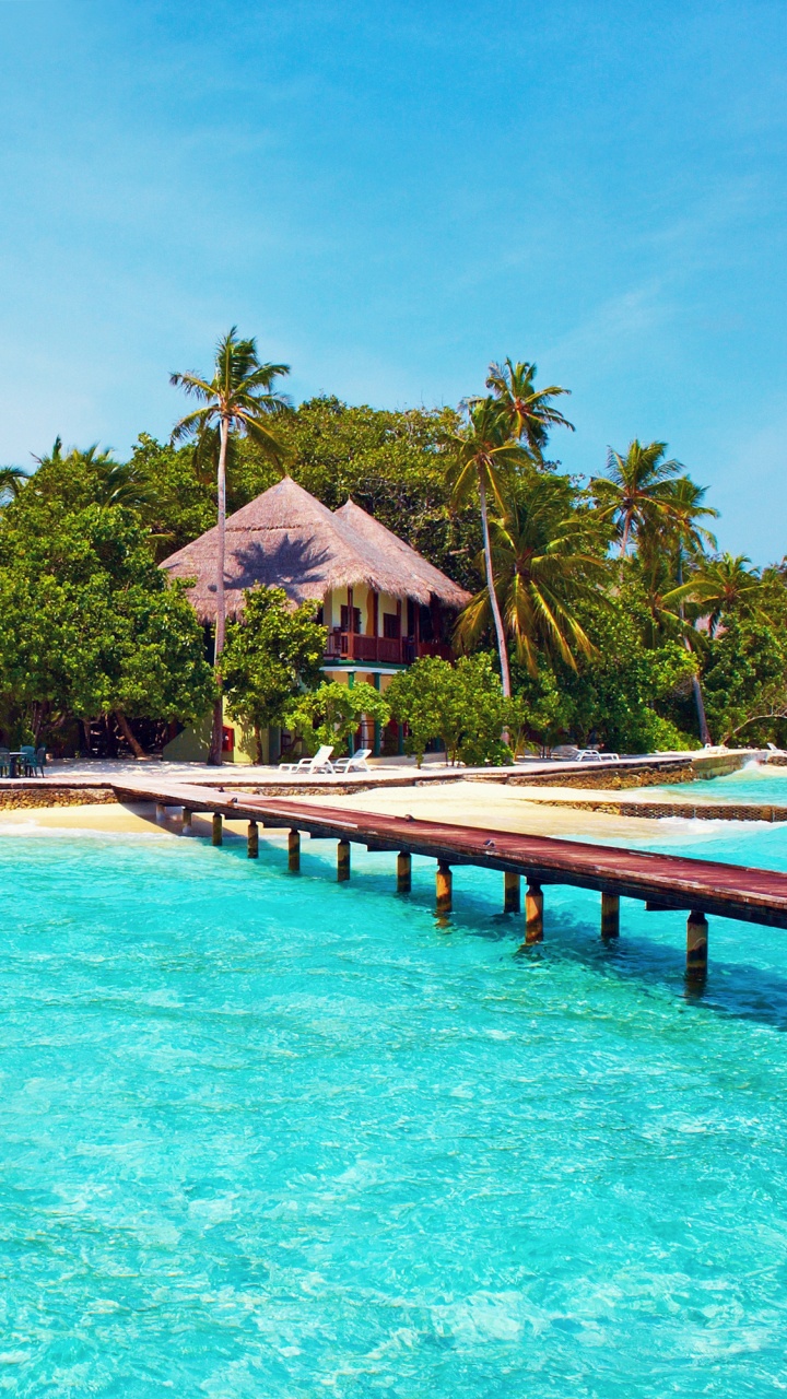Brown Wooden House Near Swimming Pool During Daytime. Wallpaper in 720x1280 Resolution