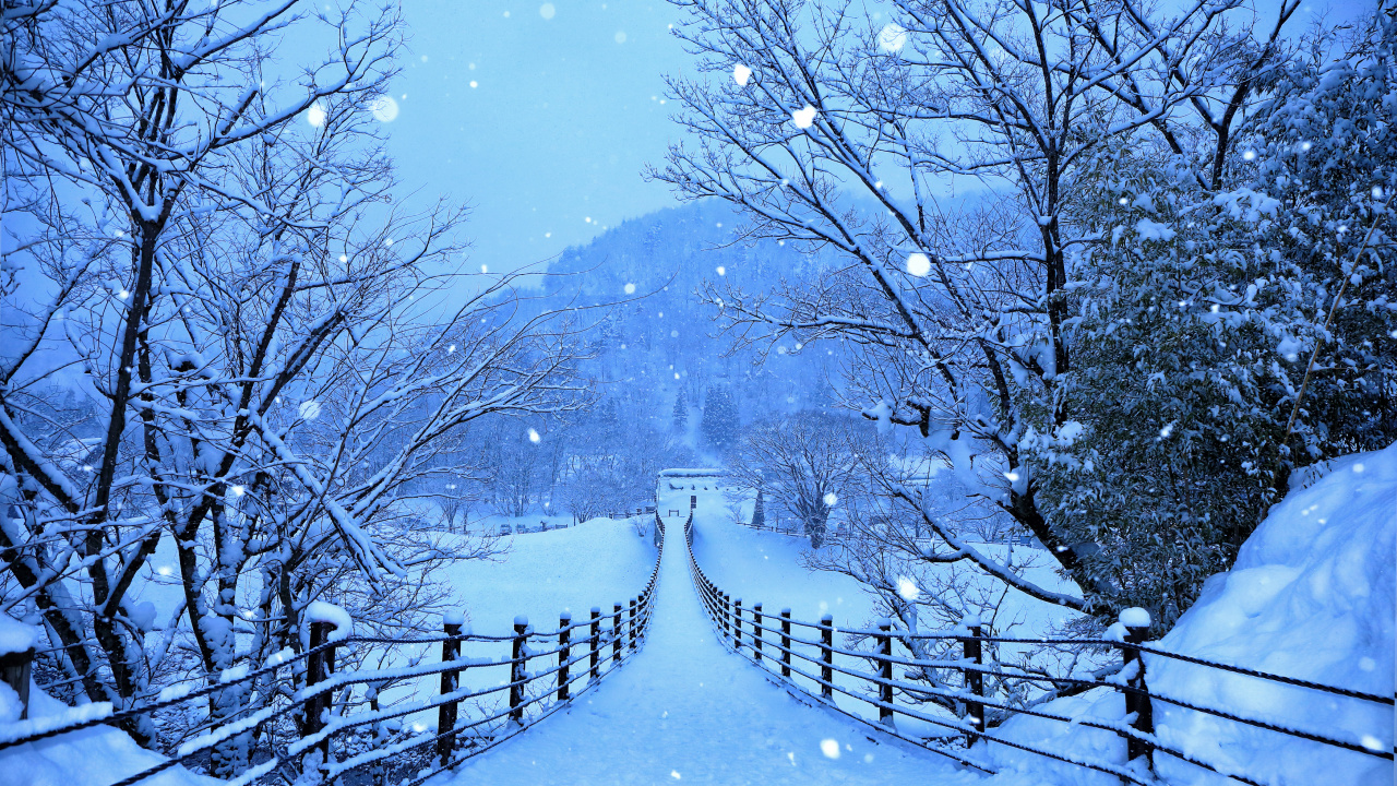 Hiver, Neige, Blue, Congélation, Paysage Naturel. Wallpaper in 1280x720 Resolution