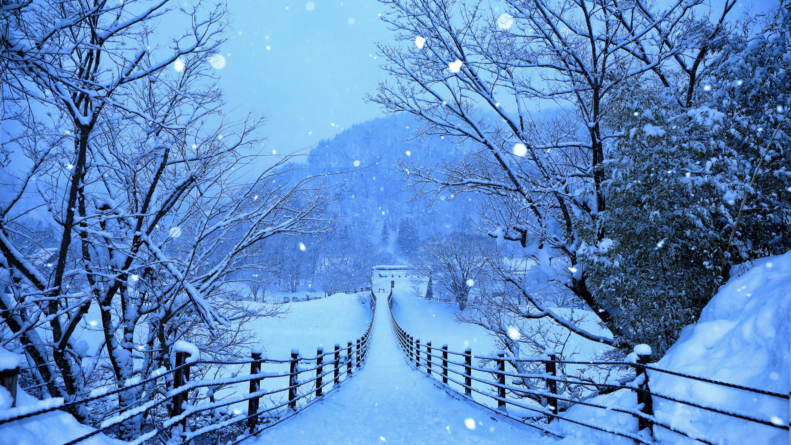 Hiver, Neige, Blue, Congélation, Paysage Naturel. Wallpaper in 2560x1440 Resolution