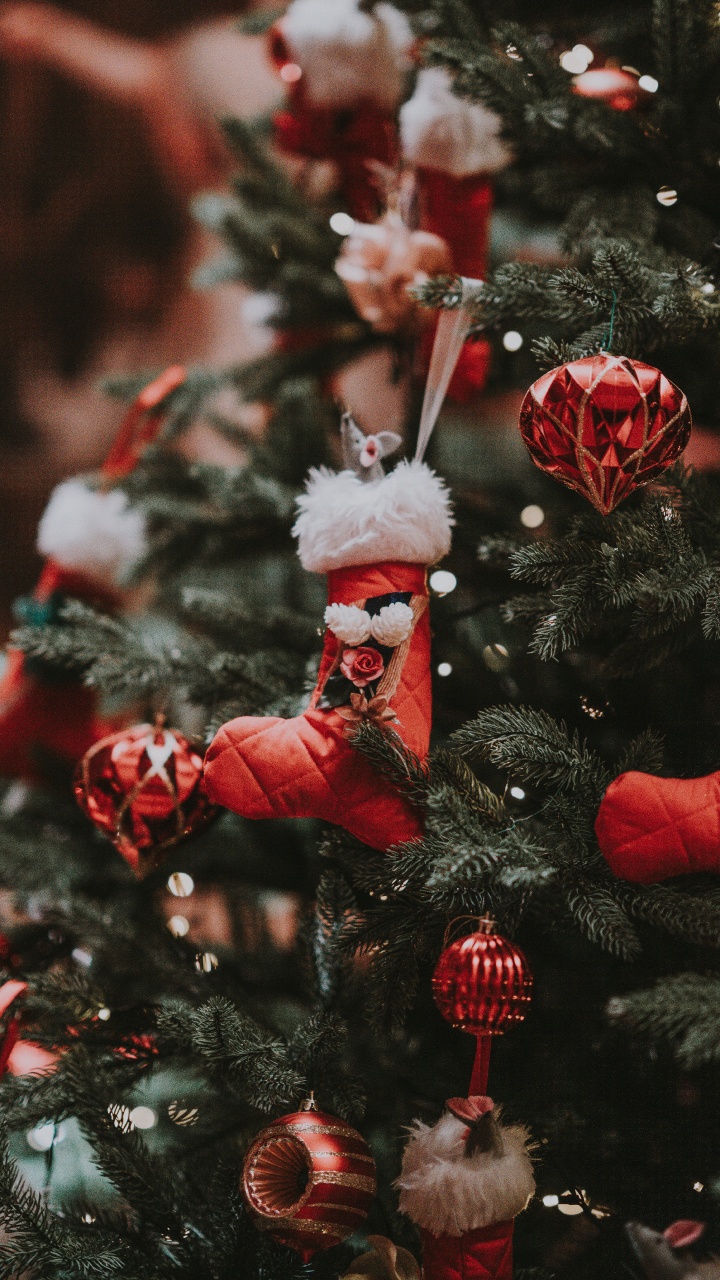 Weihnachten, Christmas Ornament, Weihnachtsbaum, Baum, Weihnachtsdekoration. Wallpaper in 720x1280 Resolution