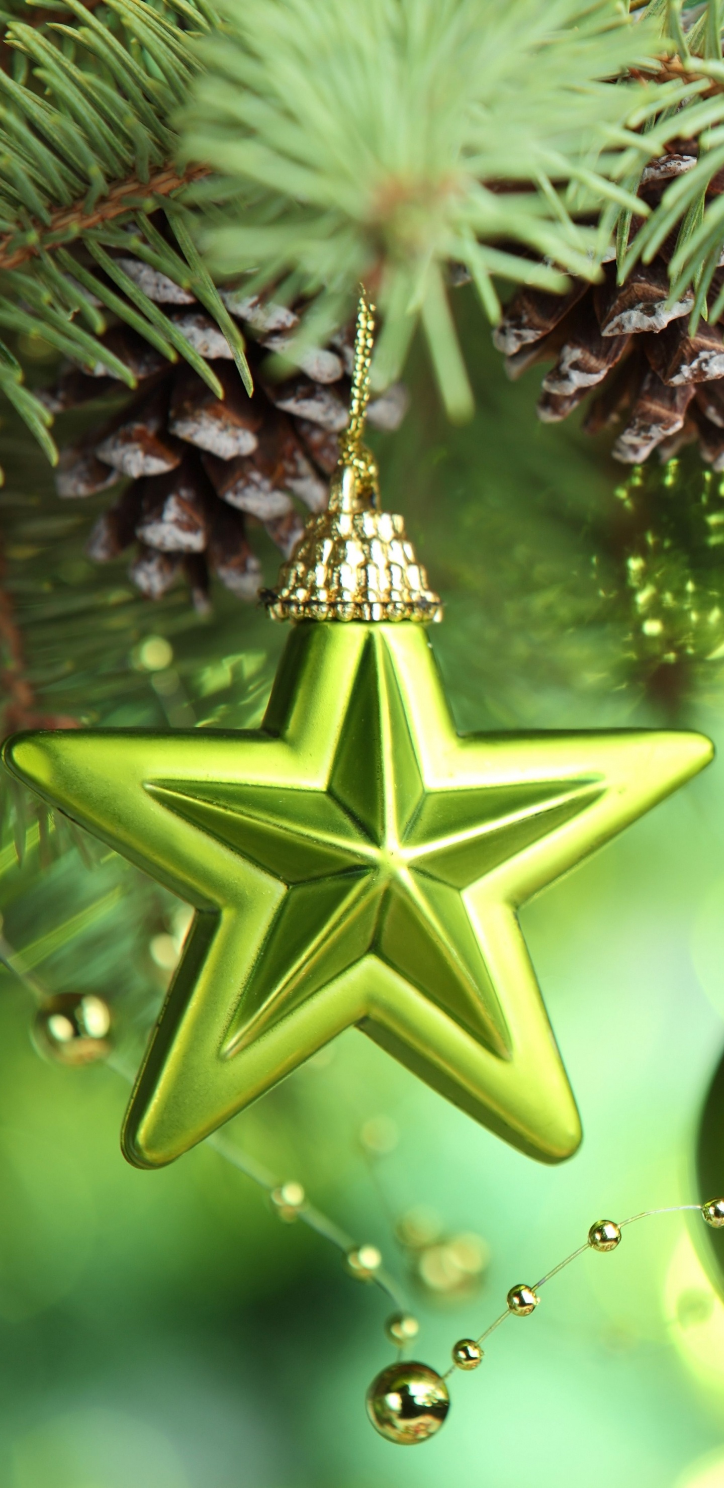 Christmas Day, Christmas Decoration, Christmas Ornament, New Year, Christmas. Wallpaper in 1440x2960 Resolution