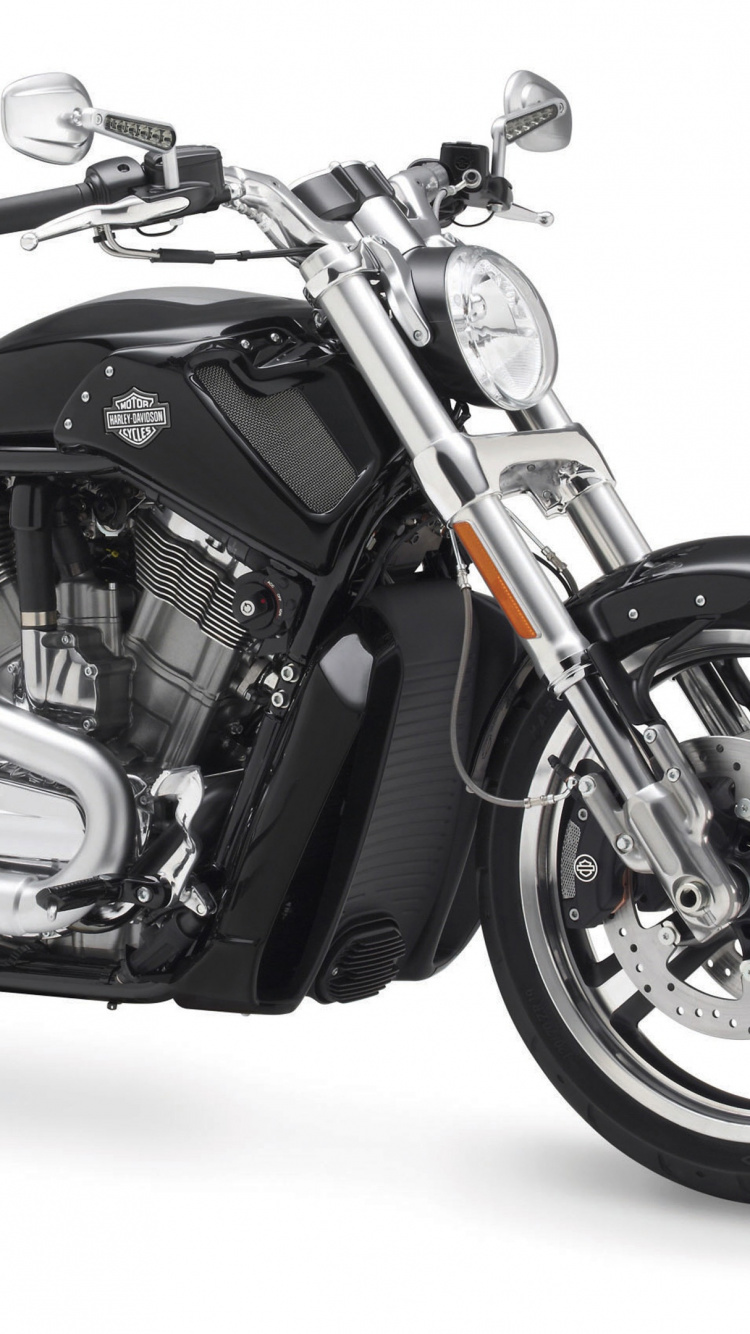 Moto Cruiser Noir et Argent. Wallpaper in 750x1334 Resolution