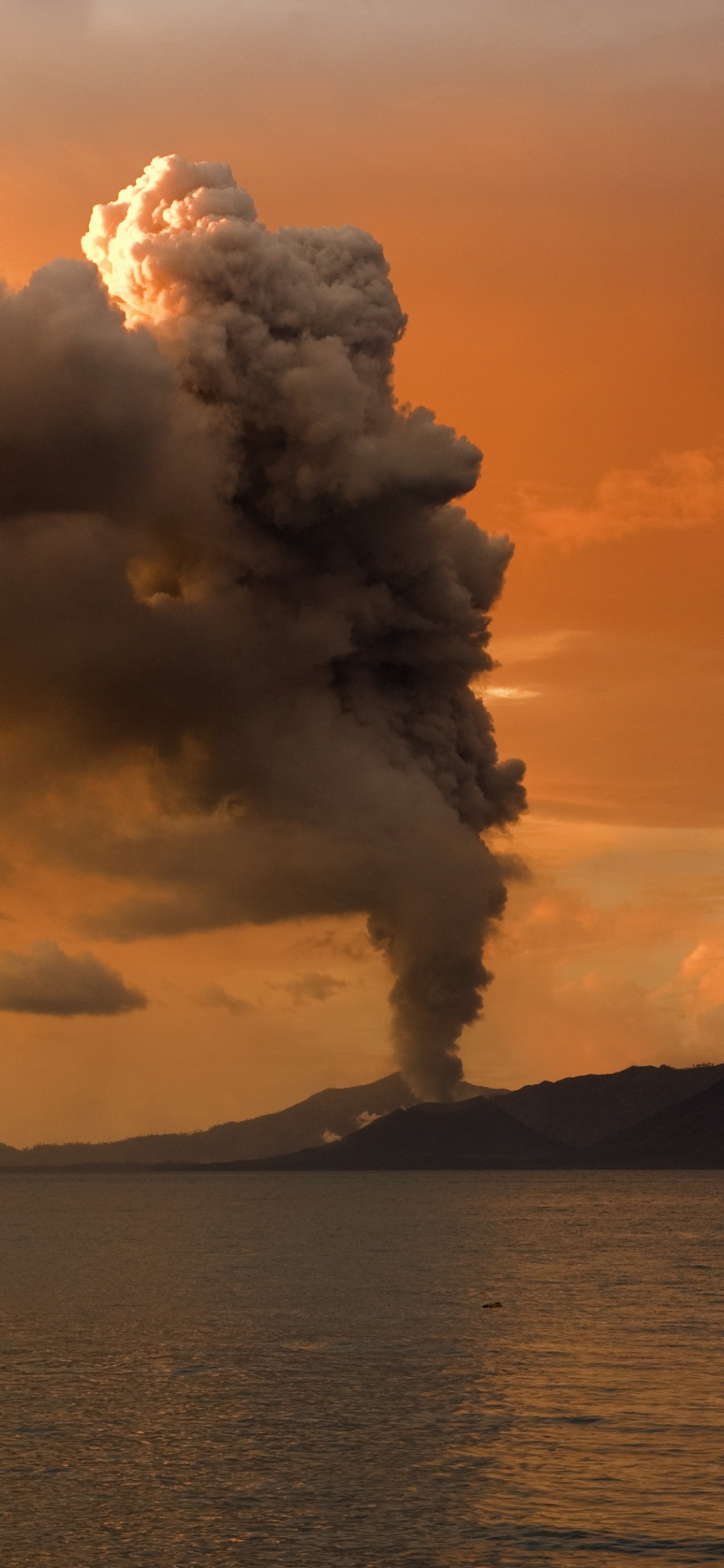 成层, 地平线, 大海, 积云, 冷静 壁纸 1125x2436 允许