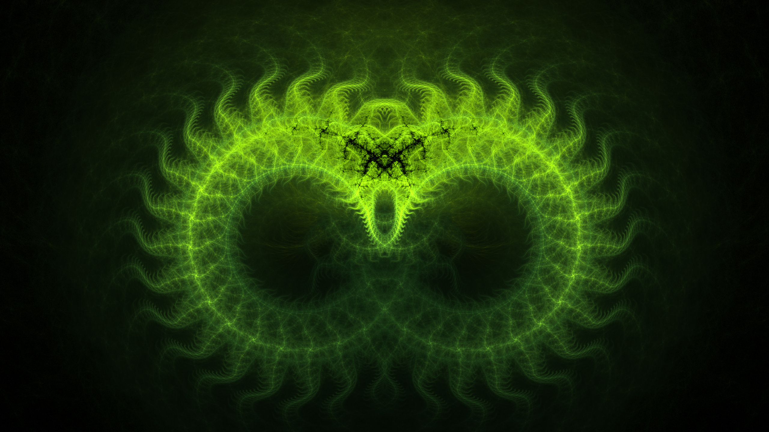 Feu Vert Sur Fond Noir. Wallpaper in 2560x1440 Resolution