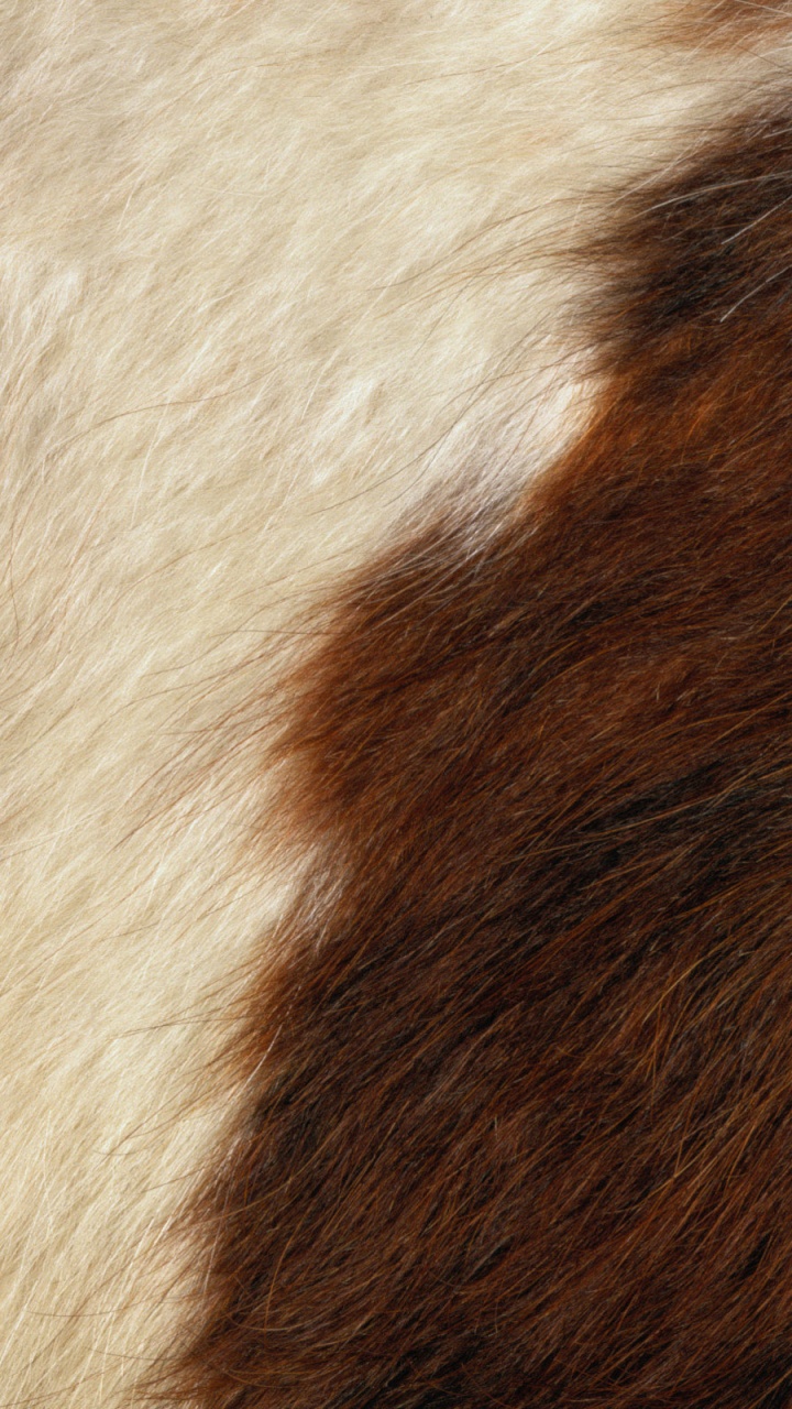 White and Brown Fur Textile. Wallpaper in 720x1280 Resolution