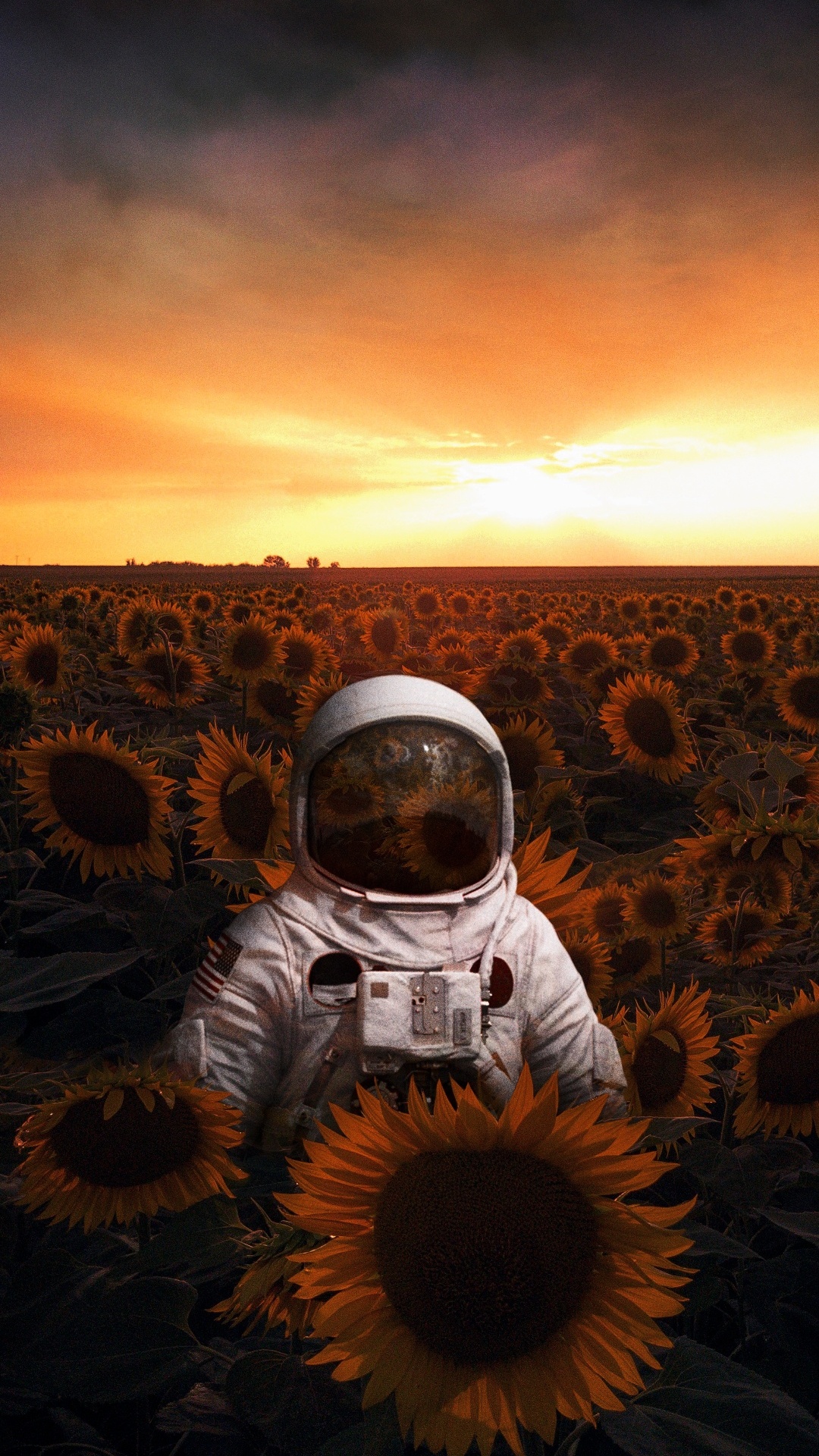 Astronaute Sur le Terrain, Astronaute, L'écorégion, Les Gens Dans la Nature, Heureux. Wallpaper in 1080x1920 Resolution