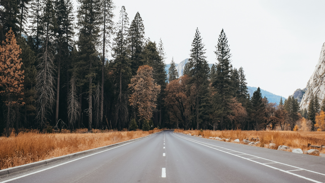 Road, Asphalt, Naturlandschaft, Baum, Durchgangsstraße. Wallpaper in 1280x720 Resolution