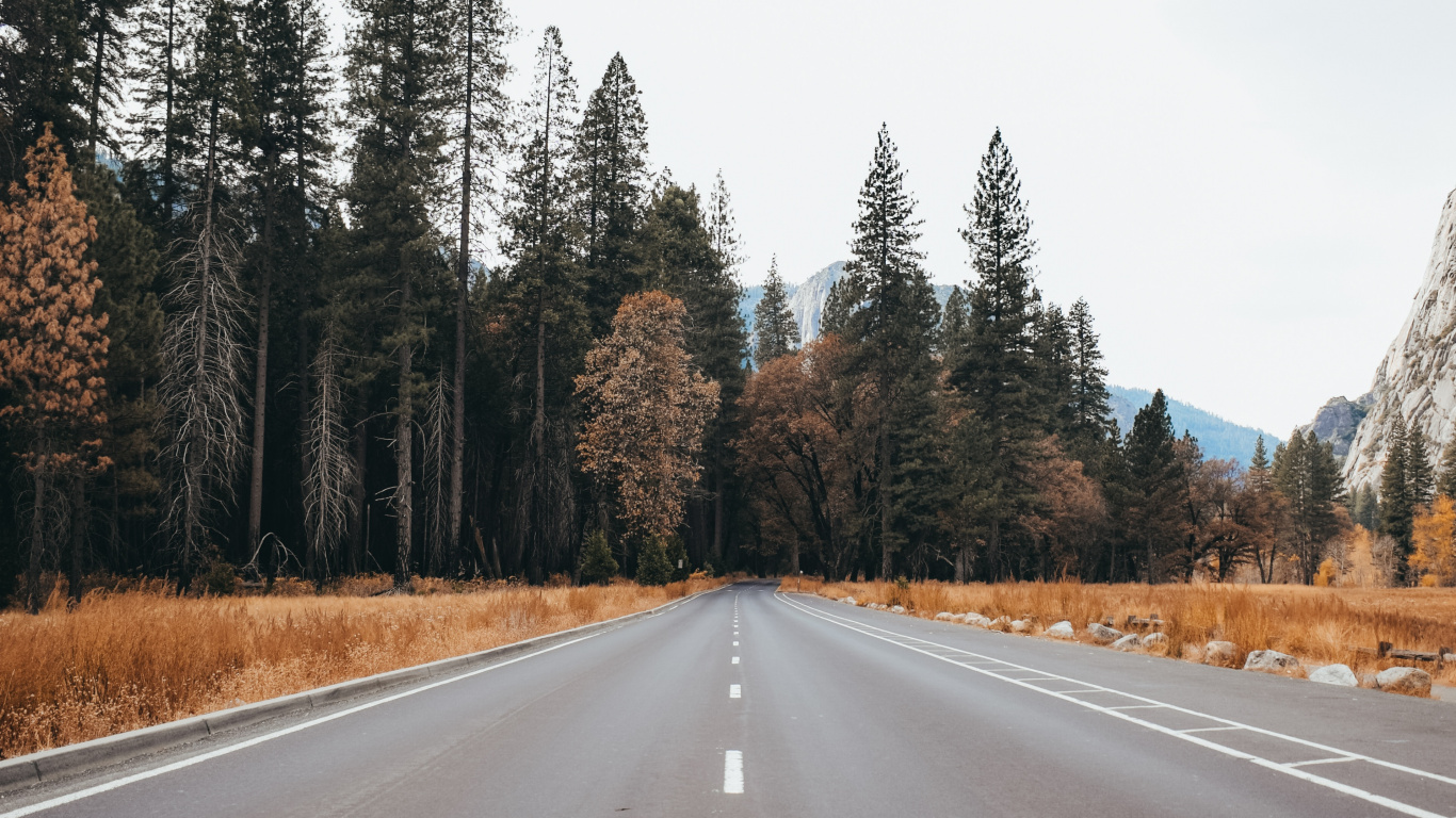 Road, Asphalt, Highway, Natural Landscape, Tree. Wallpaper in 1366x768 Resolution