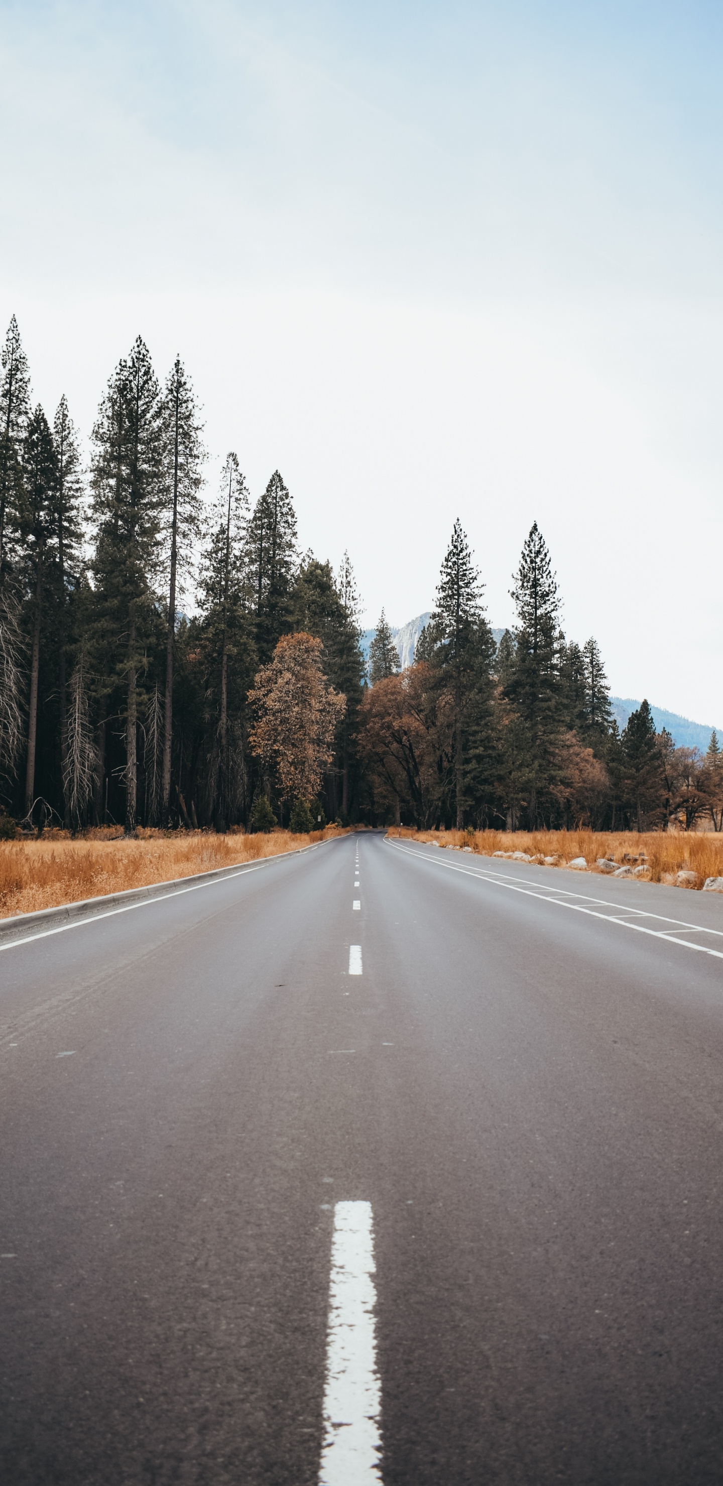 Route, Asphalt, Paysage Naturel, Voie, Artère. Wallpaper in 1440x2960 Resolution