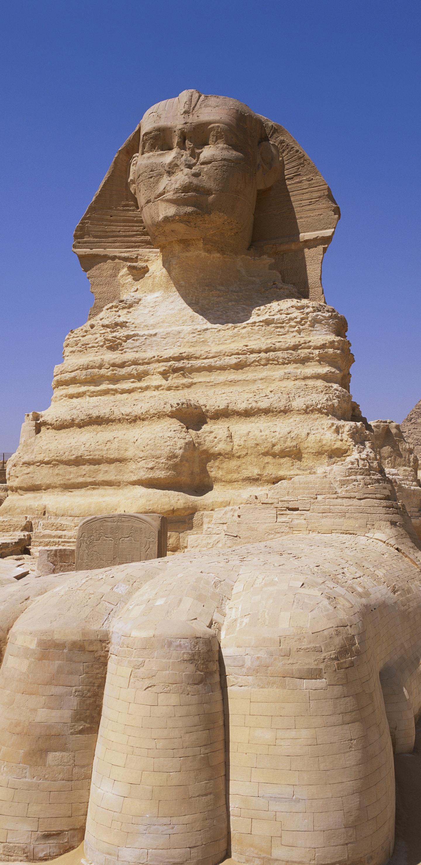 Statue en Béton Marron Sous Ciel Bleu Pendant la Journée. Wallpaper in 1440x2960 Resolution