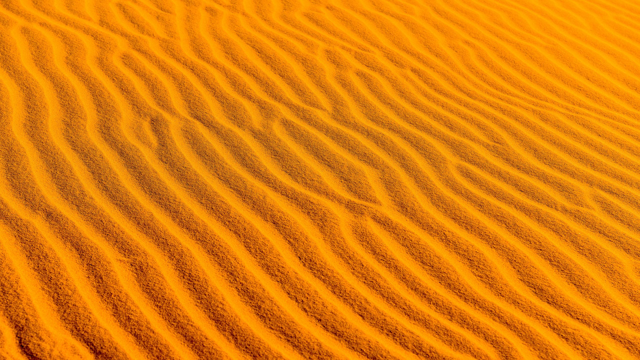 Arena Marrón Con Sombra de Persona. Wallpaper in 2560x1440 Resolution