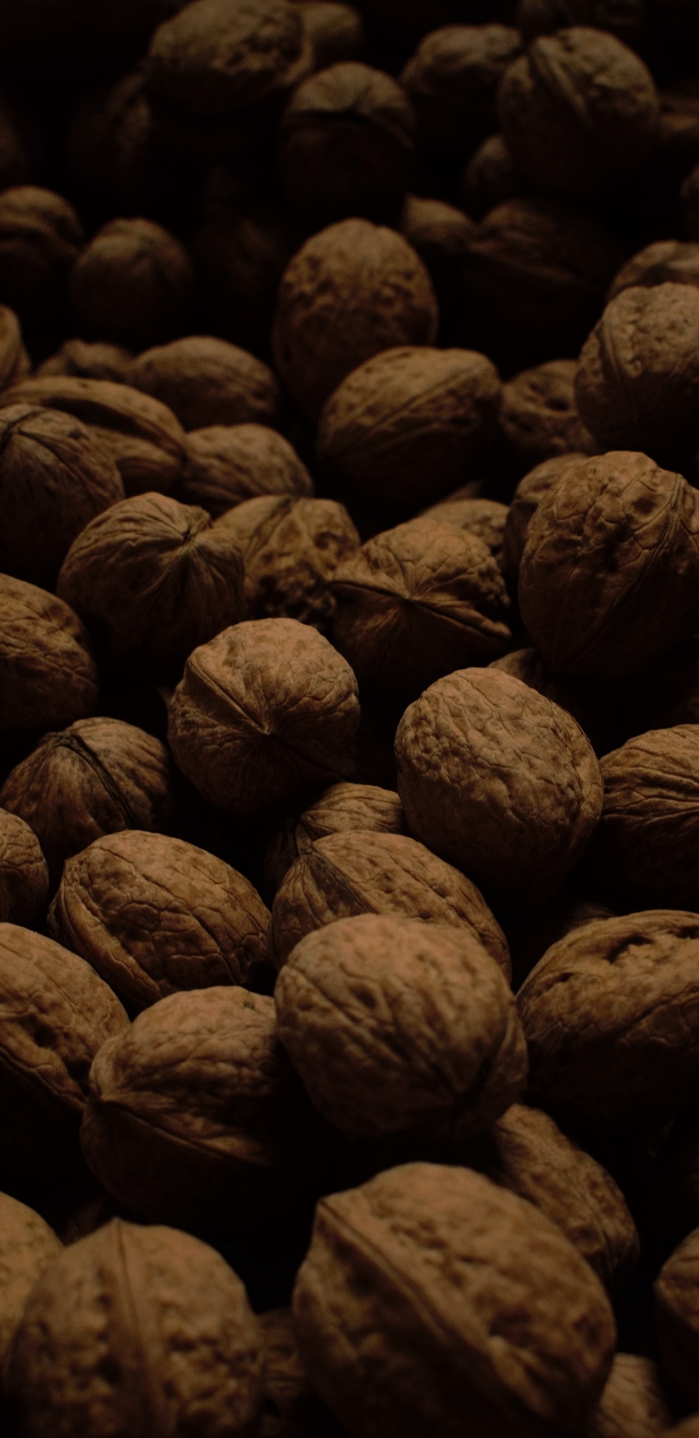 Frutos Redondos Marrones y Negros. Wallpaper in 1440x2960 Resolution