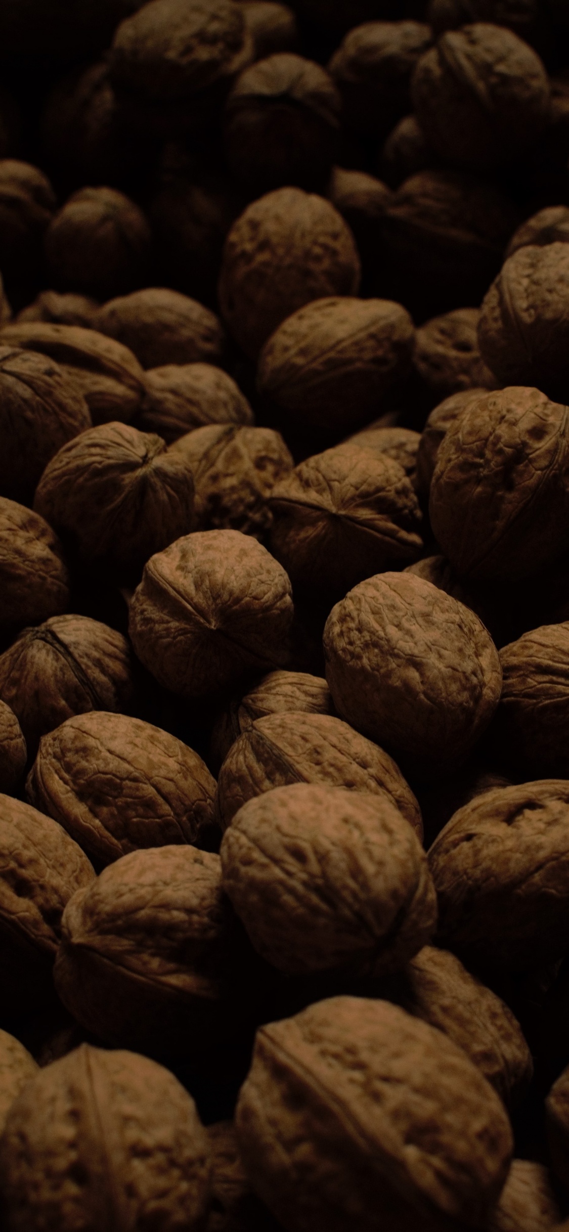 Brown and Black Round Fruits. Wallpaper in 1125x2436 Resolution
