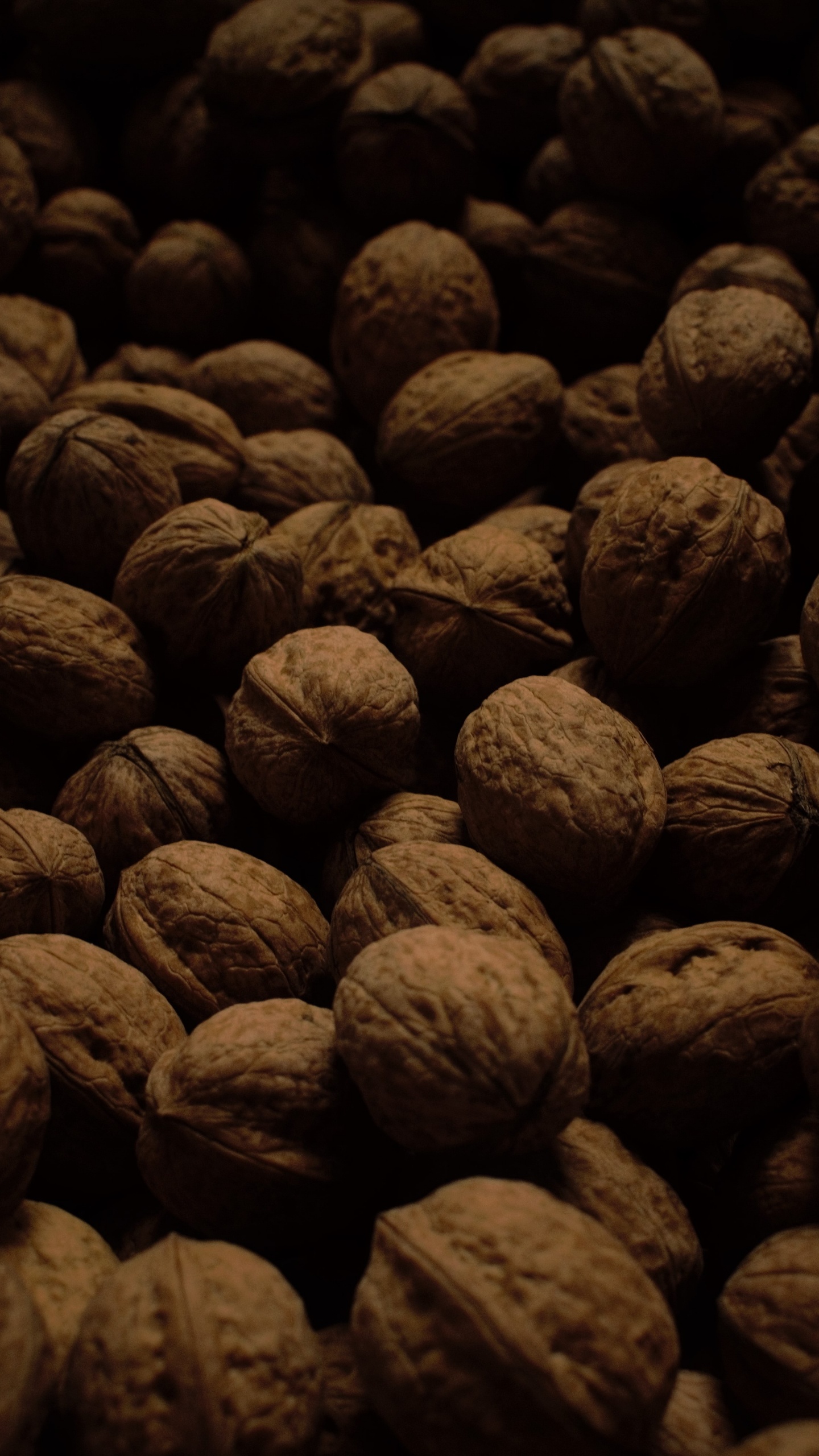 Brown and Black Round Fruits. Wallpaper in 1440x2560 Resolution
