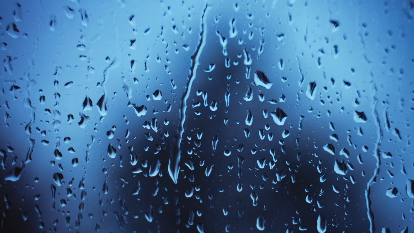 放下, 小雨, 湿气, 降水, 气氛 壁纸 1366x768 允许