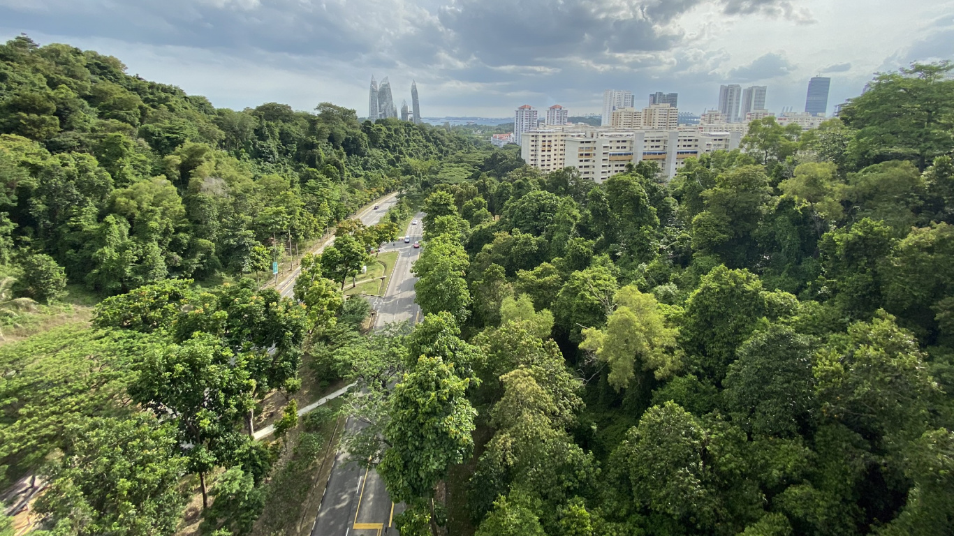 Vegetation, Nature, Daytime, Cloud, Urban Area. Wallpaper in 1366x768 Resolution
