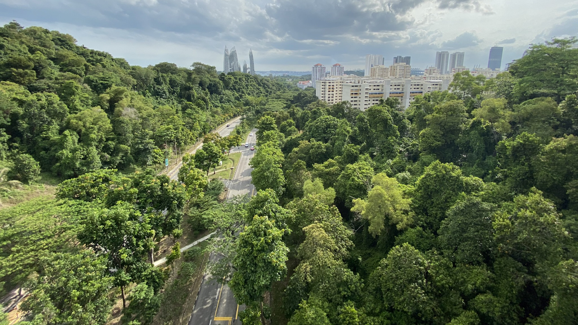 Vegetation, Nature, Daytime, Cloud, Urban Area. Wallpaper in 1920x1080 Resolution
